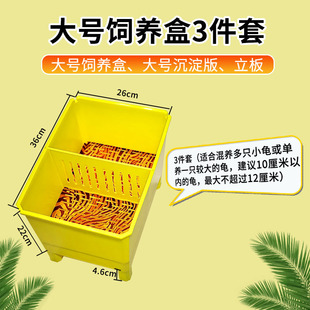 窄桥蛋龟苗头盔东 立板套装 优惠三件套大号饲养发色盒 乌龟沉淀板