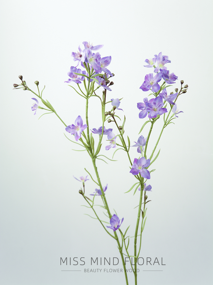 花艺装饰花飞燕草自然风花材包邮