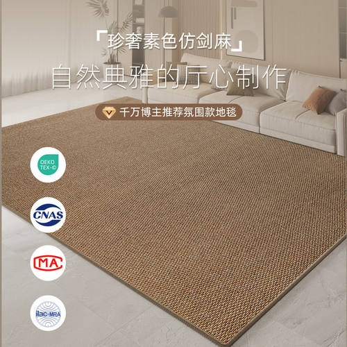 仿剑麻中古风客厅卧室地毯