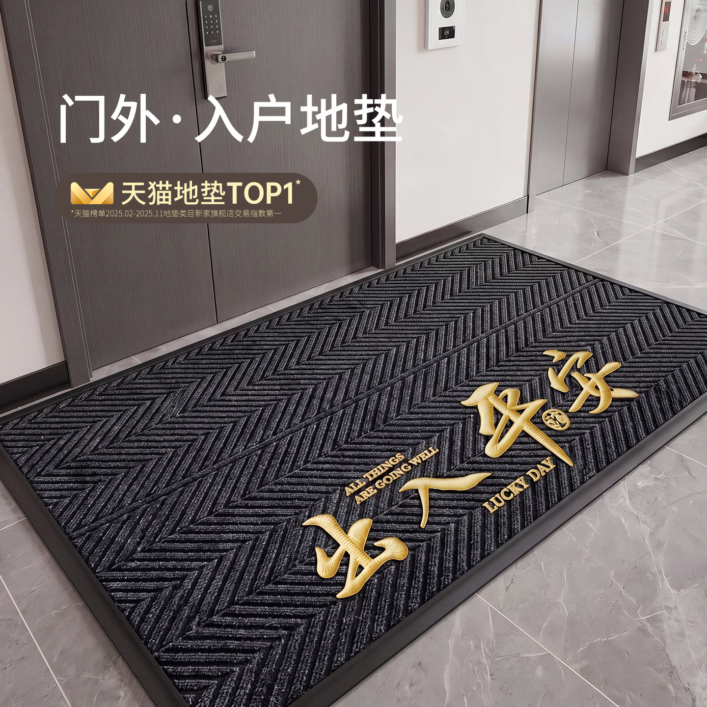 【门外地垫】门口进门入户地垫2026新款家用室内耐脏蹭土加厚脚垫