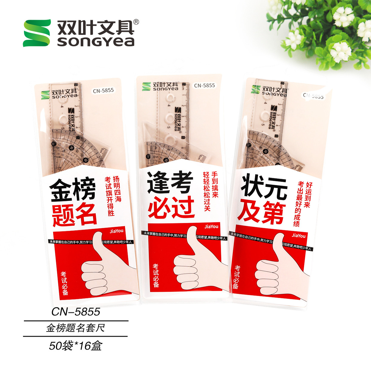 双叶学生考研绘图套尺
