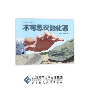 [3-6岁]不可思议的化石 小金狮 大师绘本 9787303222070 [美] 比尔·汤姆森 编 北京师范大学出版社 正版书籍 儿童绘本