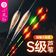 小凤仙女摩夜光漂硬尾咬钩变色芦苇电子漂日夜两用高灵敏大物鱼漂
