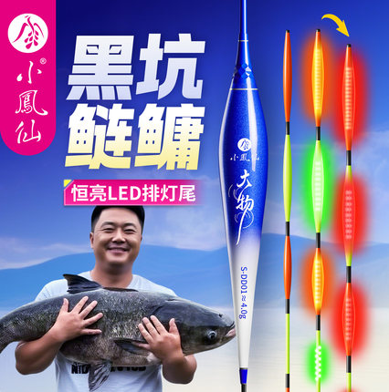 小凤仙黑坑鲢鳙大物夜光漂LED咬钩变色电子浮漂日夜两用鱼漂加粗