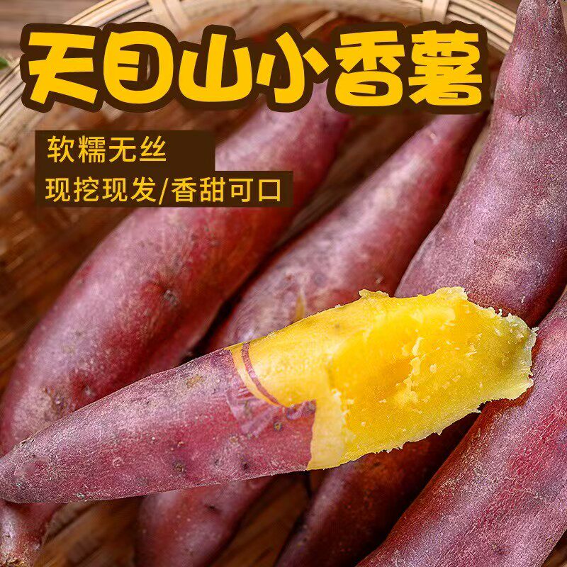 新鲜临安天目山小香薯5斤迷你小红薯板栗薯紫薯农家地瓜手指番薯