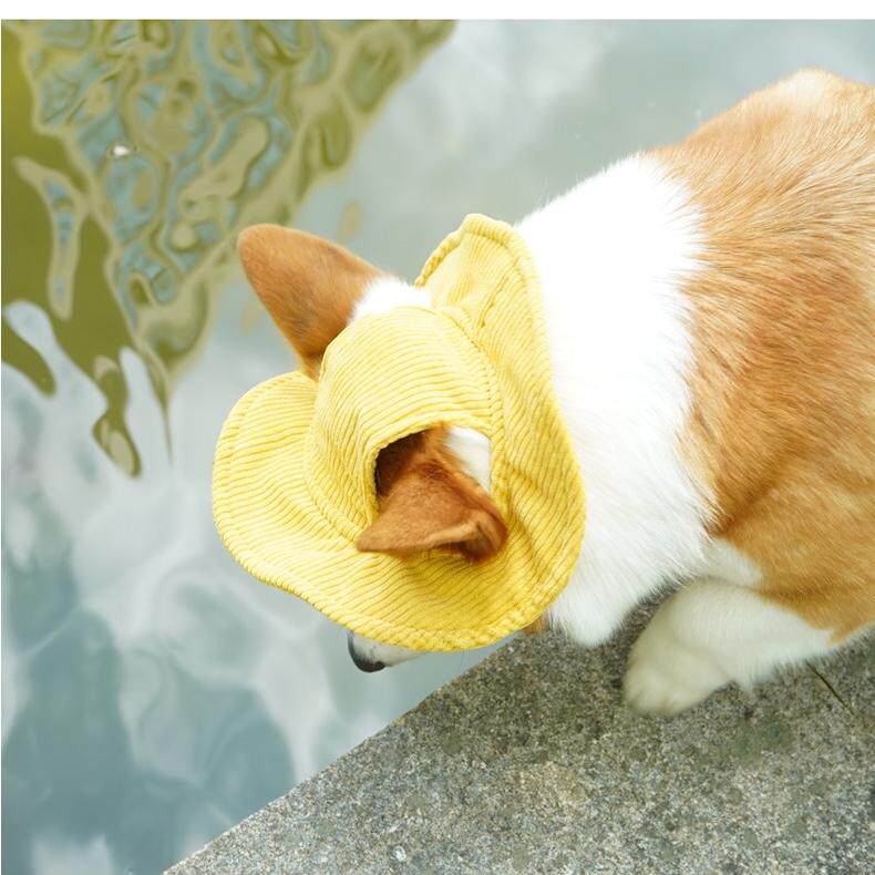 狗帽子可爱露耳朵渔夫帽大狗夏天遮阳帽猫柴犬柯基宠物防晒小黄帽