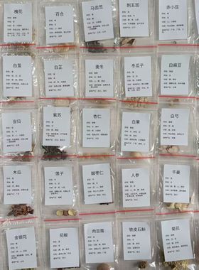 中药材标本教学样品中药标本展示常用600味中草药标本5克中医药学