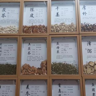 標本類裝 飾品 飾畫中藥材標本創意手工掛件擺件養生館藥房醫院裝