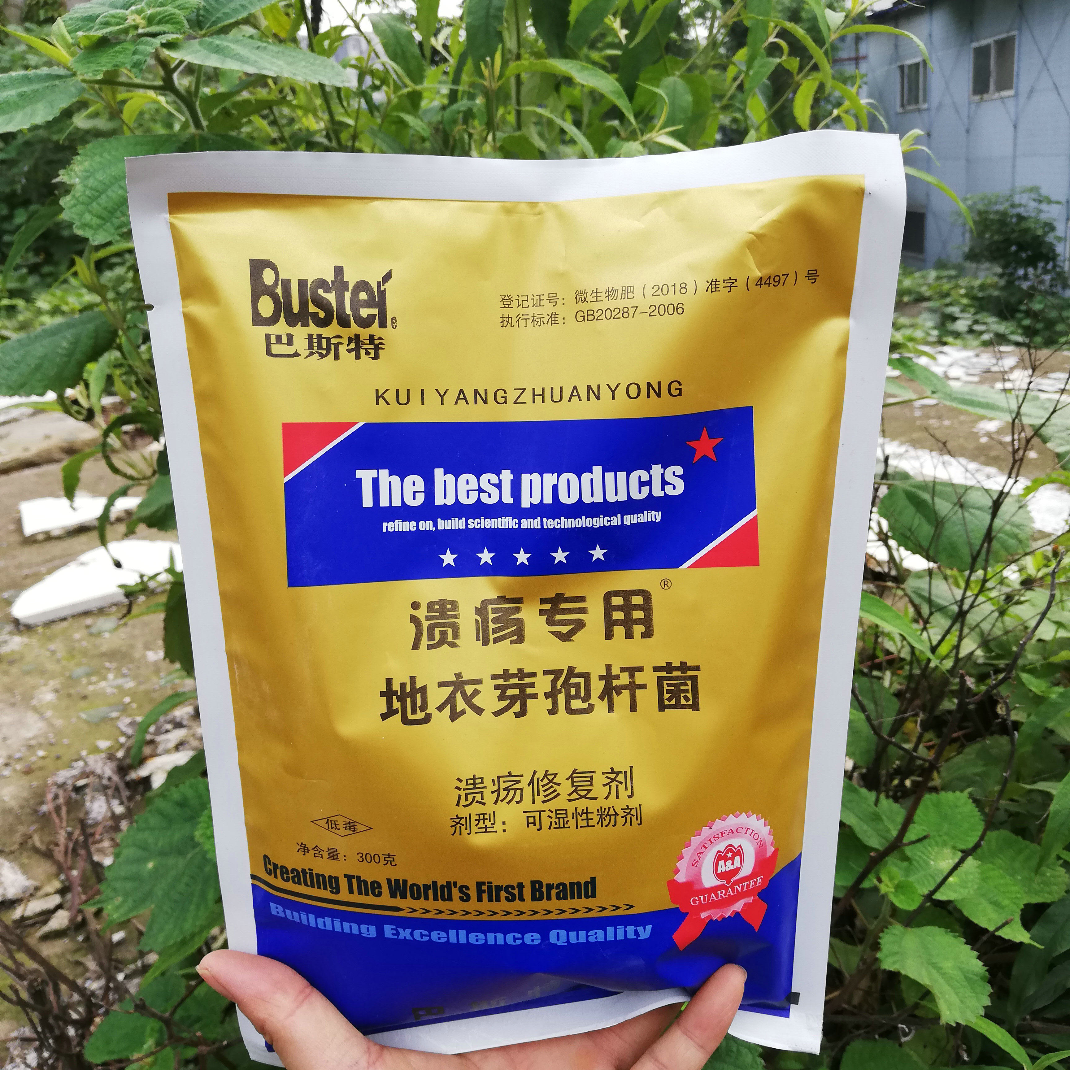 巴斯特果树杀菌剂地衣芽孢杆菌柑橘猕猴桃细菌性病害专用流胶树脂