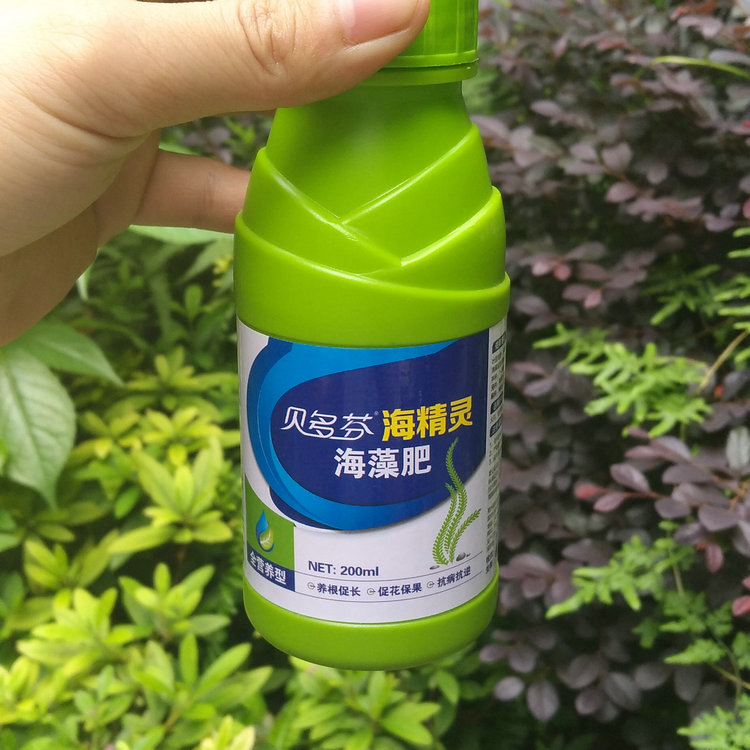 果树肥料 有机水溶肥 喷施肥 贝多芬 海藻肥 柑橘西瓜梨子营养液