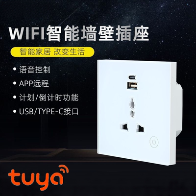 Tuya涂鸦智能Homekit插座Matter直连WiFi智能ZigBee墙壁USB TYPEC