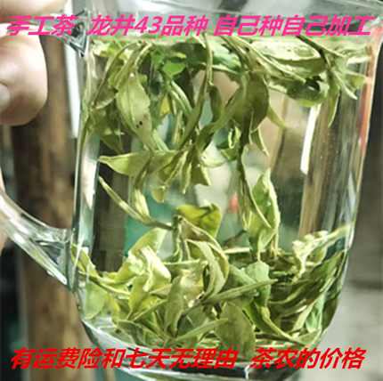 手工茶龙井43茶树品种2026年新茶自己采摘加工新茶高山绿茶散装浓