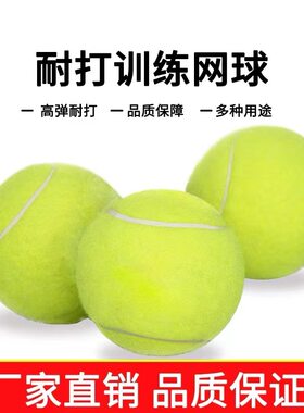 宠物网球训练初中级专用用球耐打弹跳耐磨性网球拍耐磨耐用