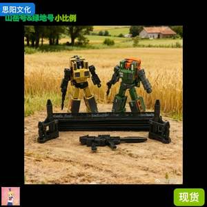 思阳文化 雷电组合体 SY-02 套装 005山岳号 006绿地号 小比例