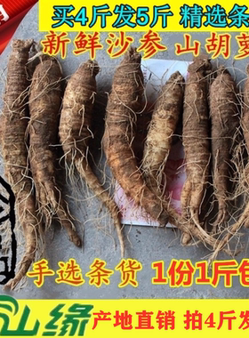 【新鲜沙参】东北新鲜沙参500克山胡萝卜山地瓜煎沙参买4斤送1斤