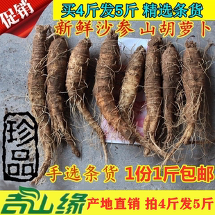 【新鲜沙参】东北新鲜沙参500克山胡萝卜山地瓜煎沙参买4斤送1斤