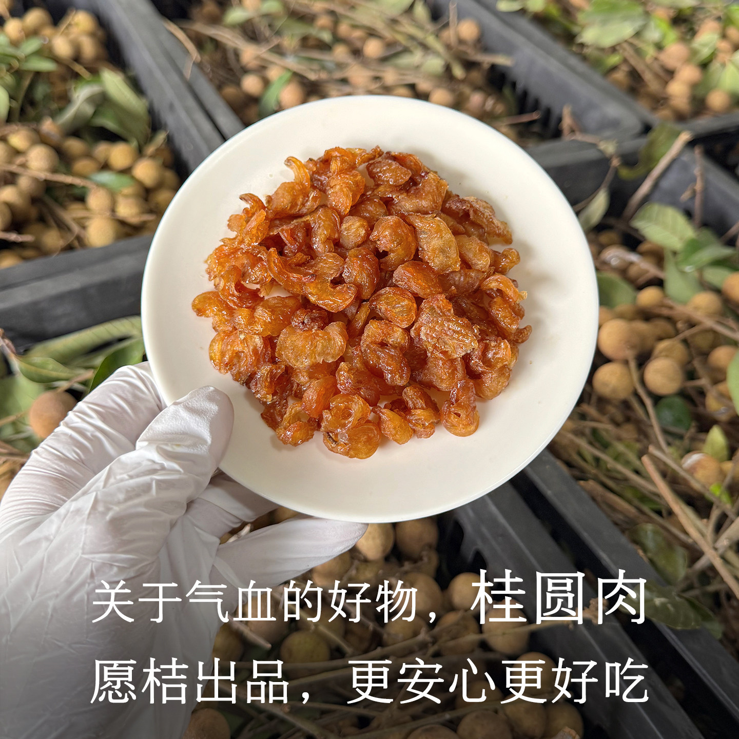 晚桔  桂圆干龙眼干 高州老树石硖储良龙眼 去核桂圆肉煲汤泡水,粮油调味/速食/干货/烘焙,桂圆干/龙眼,淘宝优惠券,粉丝福利购,淘宝优惠卷