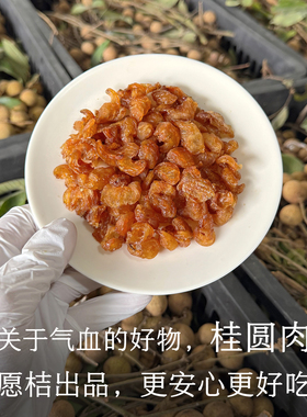 晚桔  桂圆干龙眼干 高州老树石硖储良龙眼 去核桂圆肉煲汤泡水