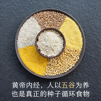 晚桔 五谷粉 源自黃帝內經人以五谷為養(yǎng) 種子循環(huán)養(yǎng)生粉代餐粉