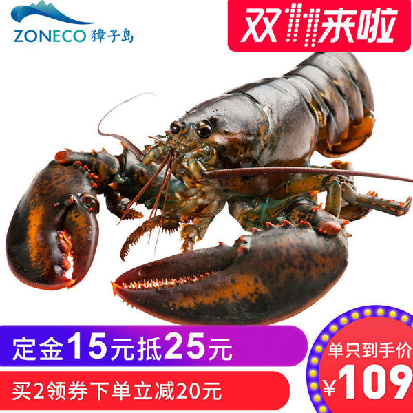 双11预售 加拿大进口 獐子岛 波士顿鲜活大龙虾 450g~500g ¥89包邮(¥15定金抵¥25 叠加¥20优惠券) 双11预售 加拿大进口 獐子岛 波士顿鲜活大龙虾 450g~500g ¥89包邮(¥15定金抵¥25 叠加¥20优惠券)