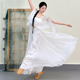 古典舞演出服身韵仙气飘逸纱衣大摆裤裙练功服中国舞蹈演出服装