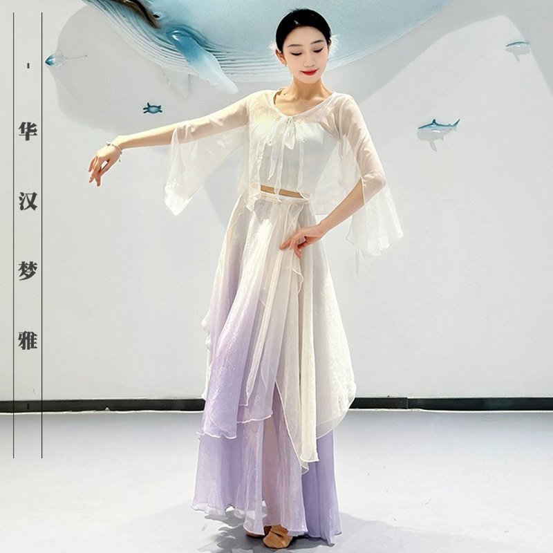 古典舞服装古风仙气鎏金纱衣飘逸大摆裙中国舞演出舞蹈练功演出服