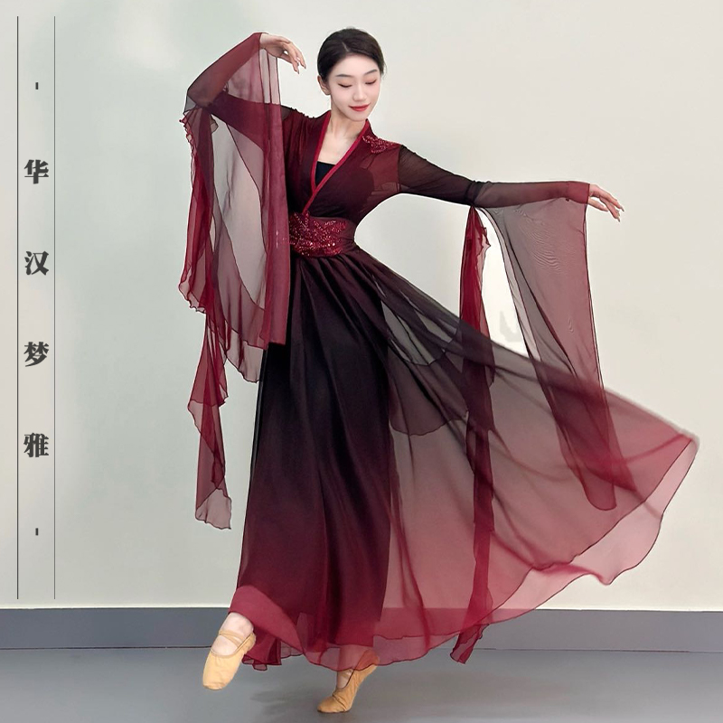 古典舞演出服红绡愿成人舞蹈大摆裙演出服仙气新中式艺考表演服