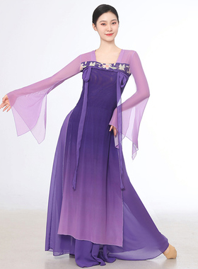 古典舞蹈服女飘逸古风表演服汉唐风身韵练功服国风古装舞台演出服