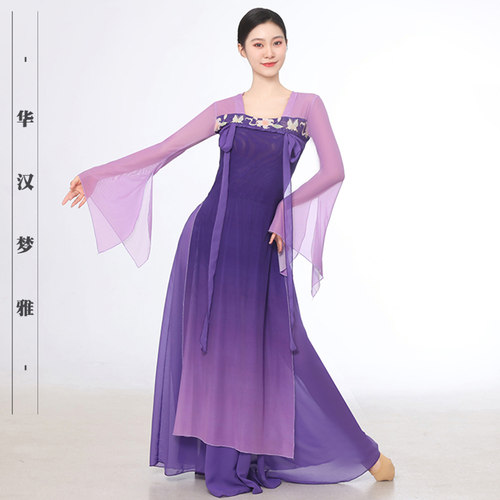 古典舞蹈服女飘逸古风表演服汉唐风身韵练功服国风古装舞台演出服
