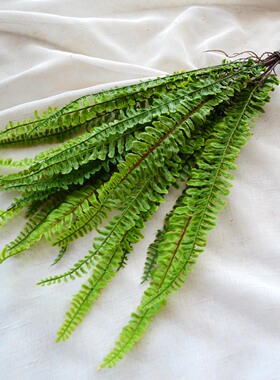 高仿绿植 蕨类 肾蕨热带雨林类植物背景墙软胶手感叶子家居类装饰