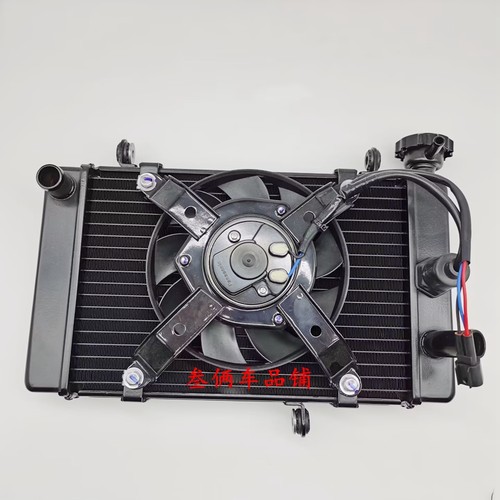 适用宗申赛科龙原厂水箱散热器SR400GY-2水箱冷却器散热风扇总成