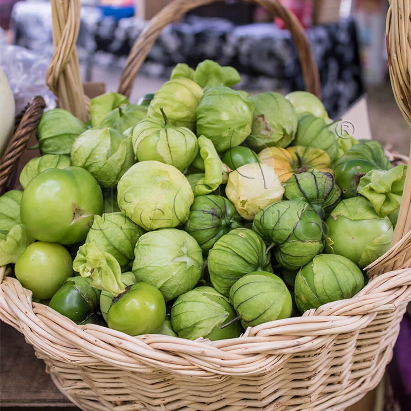 绿浆果种子 Green Tomatillo Seed墨西哥酸浆果灯笼果北美水果-封面