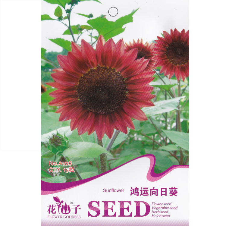 鴻運向日葵種子 葵花子 向陽花sunflower 國產彩包 綠植花卉種子