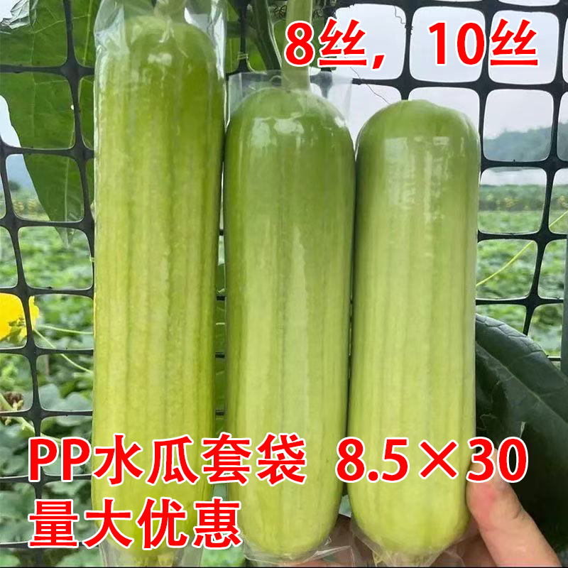 双层8丝双通PP水瓜套袋