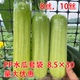 PP双通套袋8.5 30丝瓜水瓜透明双层8丝防虫塑形保护美观塑料袋