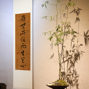 应无所住而生其心草书手写真迹书法禅意玄关字画卷轴装饰挂画茶室