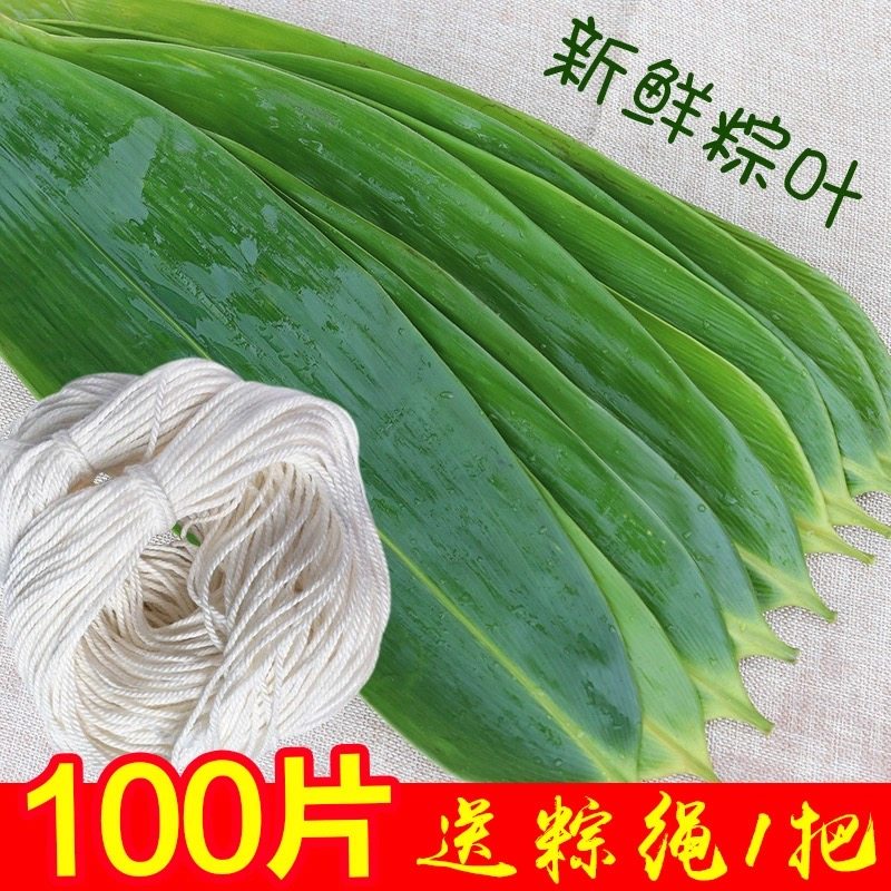 粽叶粽子叶粽叶免邮新鲜大叶大号包粽子叶子