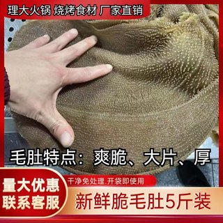 大包黑毛肚新鲜商用5斤包含水整块毛肚火锅食材菜品牛百叶千层肚