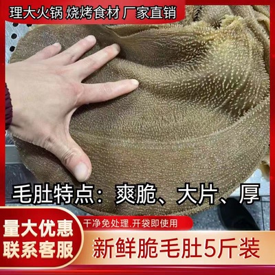 四月新品底板毛肚商用牛百叶
