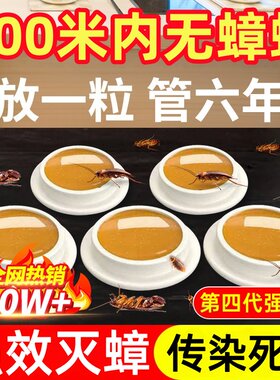 蟑螂药家用一窝端屋神器灭大小通杀饵胶厨房卧室捕捉器无毒除杀死