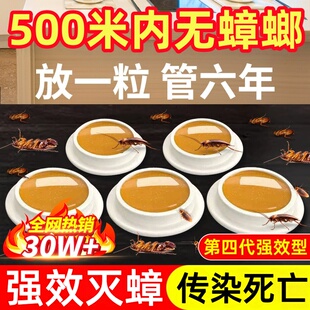 蟑螂药家用一窝端屋神器灭大小通杀饵胶厨房卧室捕捉器无毒除杀死