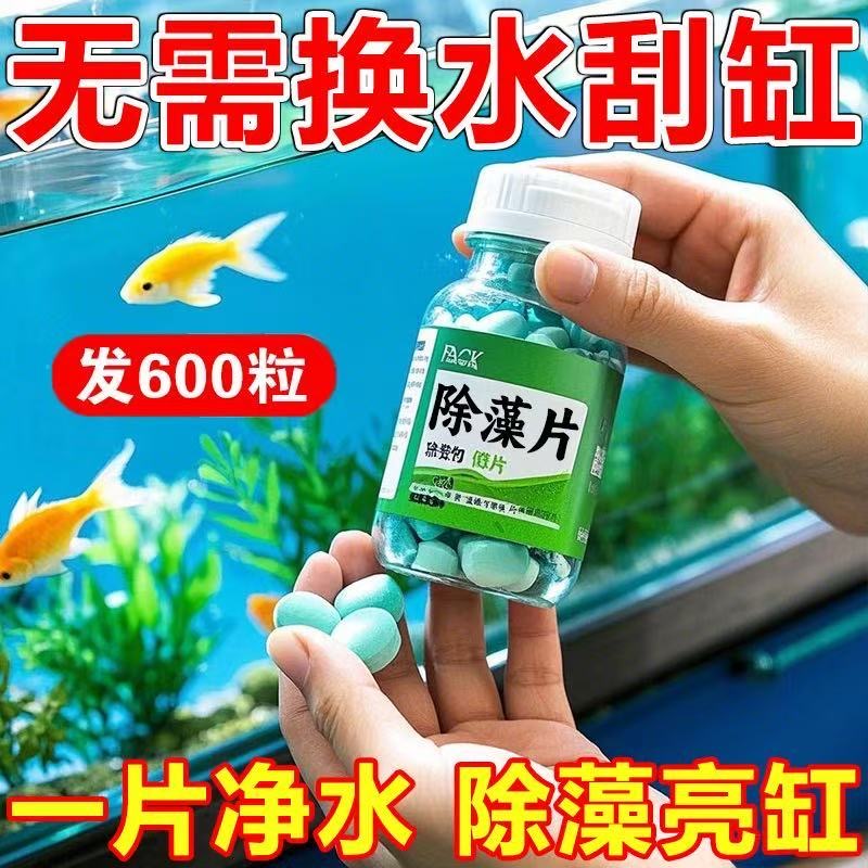 【高效除藻】去除青苔褐丝藻水垢