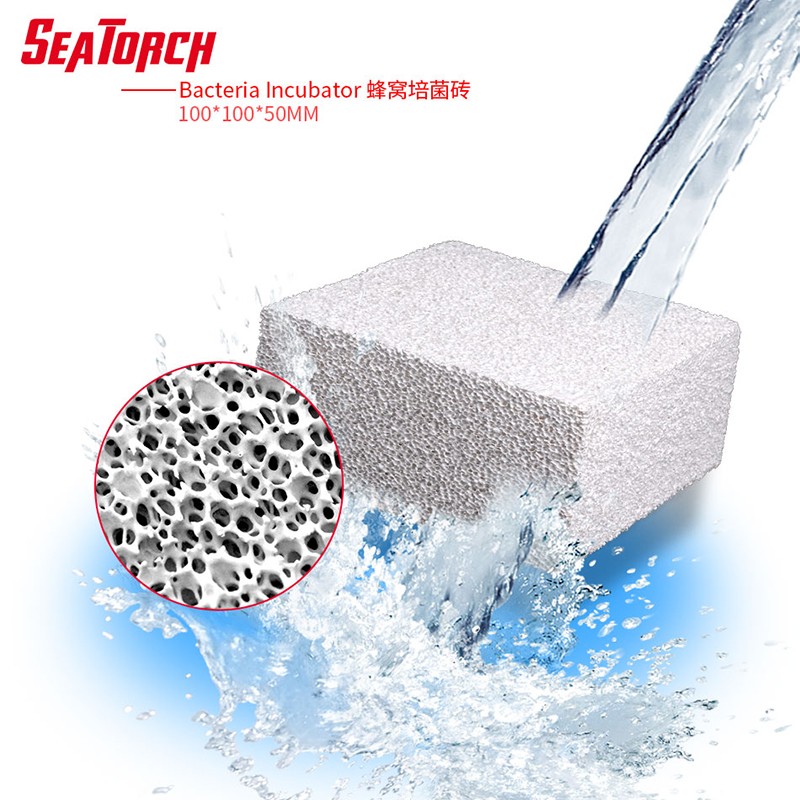 BI20海水鱼珊瑚施特驰蜂窝培菌砖