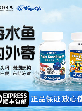 英国大白片海水鱼内寄外寄消毒