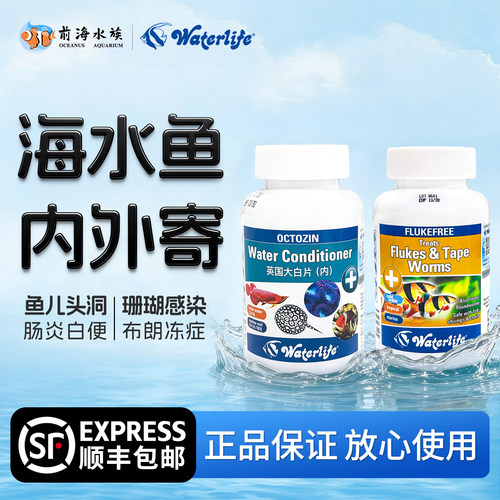 英国大白片海水鱼内寄外寄消毒
