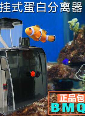 内置外置背滤迷挂蛋白质分离器