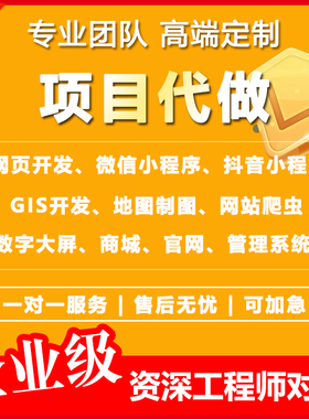 软件程序后vue前端开发web网页设计制作html代做定制gis项目外包