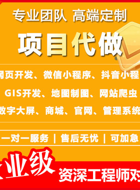 软件程序后vue前端开发web网页设计制作html代做定制gis项目外包