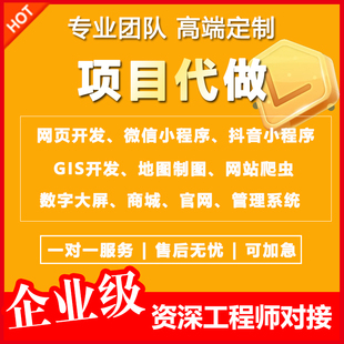 软件程序后vue前端开发web网页设计制作html代做定制gis项目外包