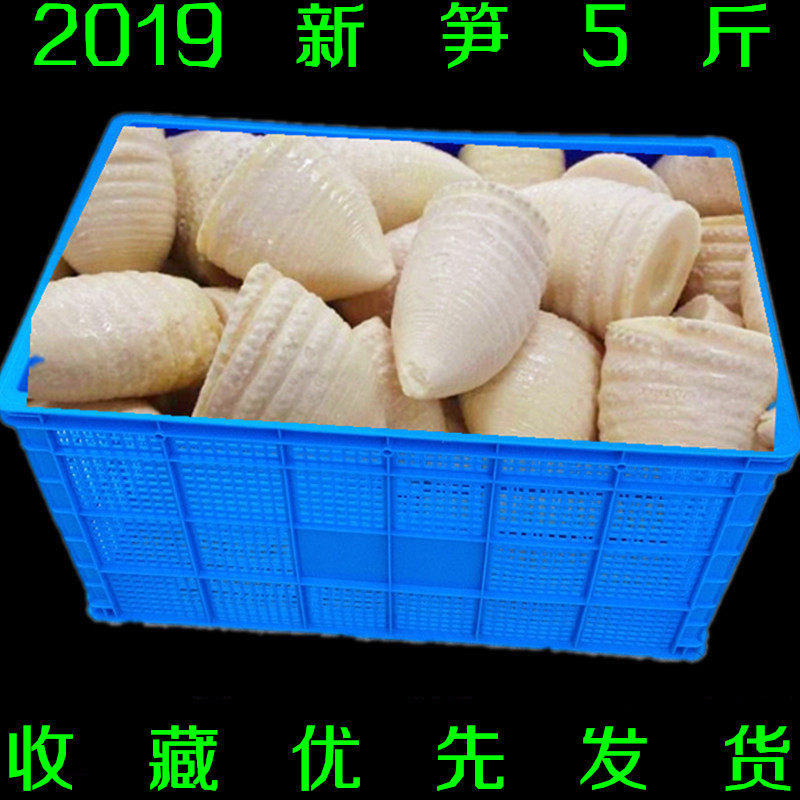 【状元竹】竹笋新鲜野生农家天然春笋冬笋现挖笋尖干蔬菜特产5斤